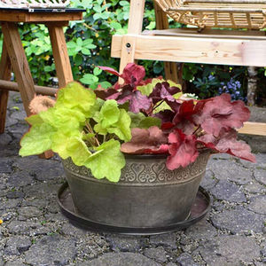 Vase de table Art Déco à double oreille <span class=keywords><strong>en</strong></span> corde de chanvre avec seau <span class=keywords><strong>en</strong></span> fer au design écologique pour décoration de jardin - Product Image 1