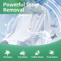 Feuilles de lessive en vrac compostables, emballage zéro plastique, bandes douces pour l'élimination des taches tenaces pour la maison au quotidien