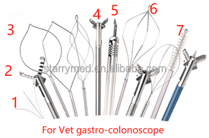 수의학 비디오 내시경 위내시경 대장내시경 동물용 개 고양이 유연한 위내시경 생검 채널 포함 - Product Image 5