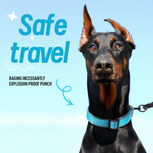 Venta al por mayor de collar de perro de nailon ajustable con logotipo personalizado con tira reflectante - Product Image 2