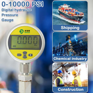 Pt118 Digitale Drukmeter 10 Bar Lcd 5-cijferige Roestvrijstalen Manometer Gas Lucht Stoommanometer Fabriek Groothandel - Product Image 6