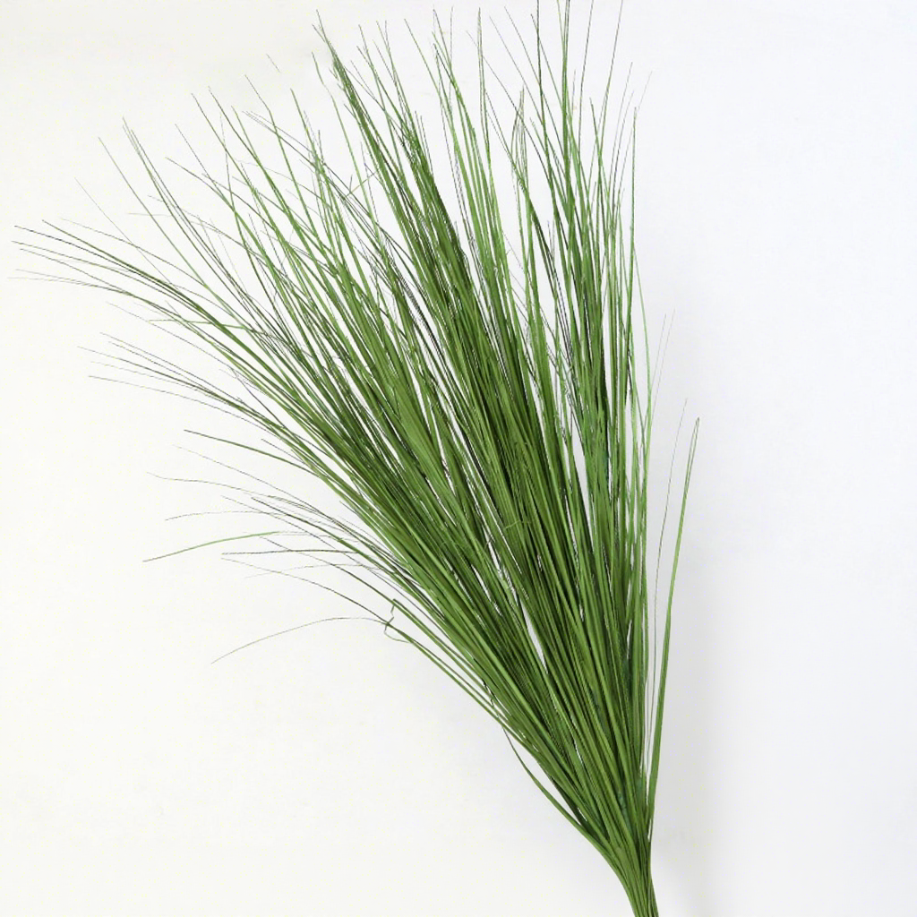 Herbe de roseau-vert foncé