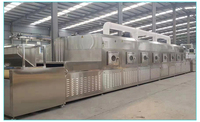 Nieuwe Magnetron Apparatuur Industrieel Voedsel Groen Blad Magnetron Tunnel Droger Dehydrator Machine Voor Het Drogen Van Lotusblad