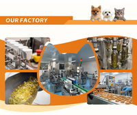 Gouttes Probiotiques Digestives pour Chiens et Chats - Formule Naturelle pour la Flore Intestinale à la Citrouille, Absorption Rapide, Maintient une Digestion Saine