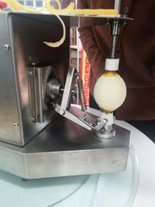 Vente flash - Petite machine à éplucher les fruits et légumes en acier inoxydable 304, éplucheur électrique pour citrons et oranges, facile à utiliser - Product Image 5