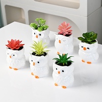 Pot de fleurs en céramique créatif pour plantes succulentes, motif hibou peint à la main, style européen, pour le jardinage domestique et le commerce transfrontalier.