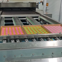 Ligne de production automatique industrielle Macaron 400 kg/h