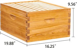 Nouvelle ruche moyenne BEE 10 cadres, en plastique et bois, avec feuilles de fondation en cire d'abeille pré-assemblées - Product Image 2