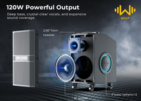 Altavoz para Fiestas W-King K21SE, Sistema de Karaoke con Diseño de Carrito, Altavoz Portátil con Woofer, Reproductor de Música, Altavoz con Bajos y Monitor