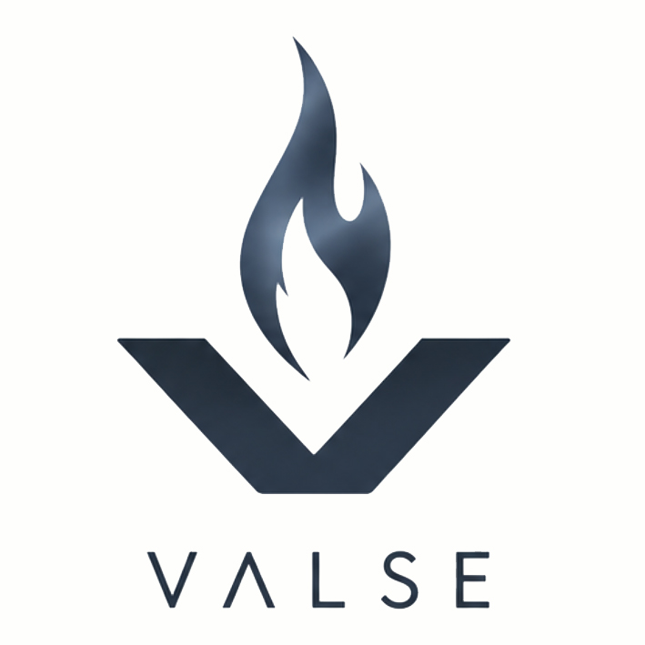 Dongguan Valse Technology Limited logo