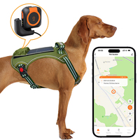 Collier GPS intelligent pour animaux de compagnie, rechargeable, 4G, en temps réel, mini, étanche, pour petits chiens et chats, localisateur de chiens et de chats