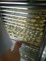 Industriële Commerciële Voedsel Dehydrator/Groente Fruit Drogen Machine Leverancier
