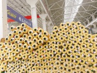 650gsm 850gsm acrylique laque pvc enduit bâche toile vinyle rouleau pour carport stade camion côté rideau