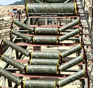 Los mejores rodillos para transportadores resolvieron perfectamente los puntos de <span class=keywords><strong>dolor</strong></span> de la industria, lo que ahorra una cantidad significativa en costos de operación. - Product Image 3