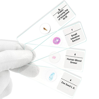 Medical Science Prepared Biology Slides Botany Microscope Slides
