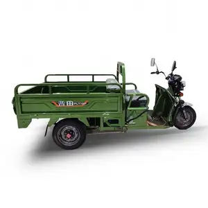 Putian Fast 60V Motorized Tricycles And Sidecar For Elder Use