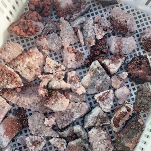 Hematita de espécimen crudo natural al por mayor con colección <span class=keywords><strong>mineral</strong></span> de cristal de pirita simbiótica para curación - Product Image 6