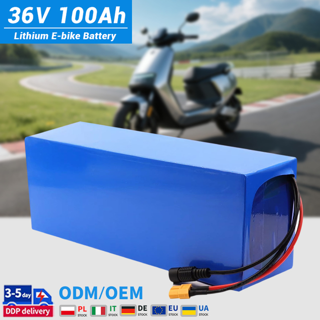 ODM OEM 24V 36V 48V 60V 72V 100Ah 30Ah 50Ah 60Ah 200Ah LiFePO4 6000-Cycle Lithium-Ion Battery Pack for E-bike Scooter Electronic