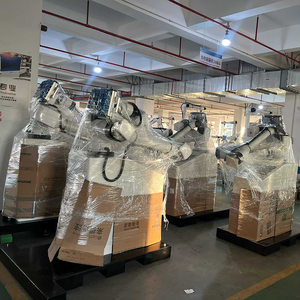 Machine de palettisation manuelle entièrement automatique, <span class=keywords><strong>robot</strong></span> de palettisation, machine de palettisation avec pince personnalisée - Product Image 6