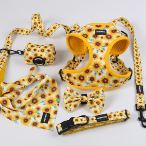 OKEYPETS Conjunto de <span class=keywords><strong>Collar</strong></span> de Correa de Perro de Malla Cómoda Neopreno Acolchado Impreso Sublimación Diseño Personalizado Conjunto de <span class=keywords><strong>Collar</strong></span> de Correa de Perro - Product Image 5