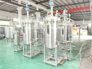 Лабораторный ферментационный биореактор, промышленный биореактор, 50 л, 100 л, 200 л - Product Image 2