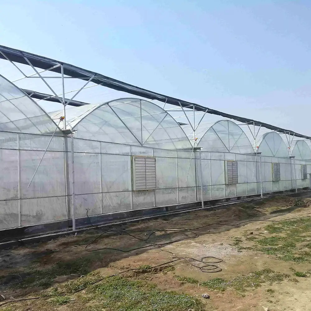 Agricultural green house agricultural equipment greenhouse supplies for vegetables