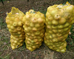 Khoai Tây lưới túi PP Leno túi cho hành tây rau nhựa dệt lưới gói - Product Image 5