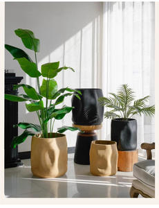 Cement Bloempot Eenvoudig Binnenbalkon Met Grote Diameter High-End Binnenplaats Groene Plant Decoratieve Bloemornamenten - Product Image 6