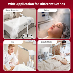 <span class=keywords><strong>Precio</strong></span> al por mayor Olla de <span class=keywords><strong>vapor</strong></span> profesional para limpieza de la piel de spa en casa con función de niebla caliente Olla de <span class=keywords><strong>vapor</strong></span> de <span class=keywords><strong>ozono</strong></span> iónico - Product Image 5