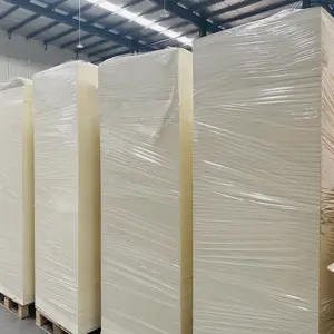 Paper cup roll Pe Coated Paper In Sheet Supplier In China Factory Price Pe Coated High Quality