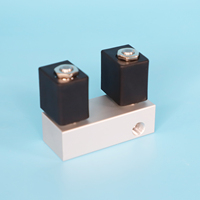 Double électrovanne en aluminium à basse température G1/8, collecteur à 2 voies, 12vdc, pour les canons d'effroi des oiseaux