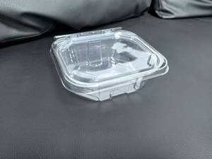 Nhựa an toàn-Tươi 16 oz. Thùng chứa bản lề hình chữ nhật Chống giả mạo, chống giả mạo với nắp phẳng-200/Vỏ - Product Image 5