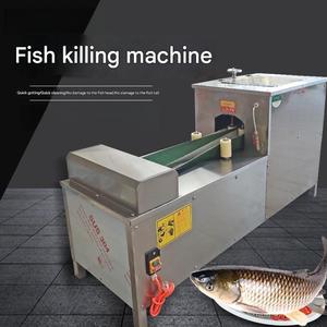 Máquina Portátil para Sacrificio de Peces |   Equipo de Operación Sencilla para la Eliminación de Peces en Procesamiento a Pequeña Escala - Product Image 4