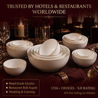 Lot de bols en porcelaine fine avec bord doré, 5 tailles (4-8 pouces), personnalisable OEM pour hôtels, restaurants, mariages et services de traiteur
