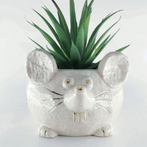 Offres Spéciales Pots de <span class=keywords><strong>plantes</strong></span> d'intérieur et d'extérieur <span class=keywords><strong>en</strong></span> céramique <span class=keywords><strong>Pot</strong></span> pour <span class=keywords><strong>plantes</strong></span> succulentes et animaux Pots de fleurs et jardinières - Product Image 1