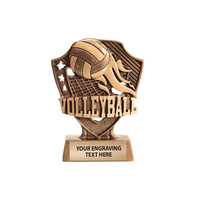 Trofeo de Voleibol de Resina WeiVista, Premio Personalizado Grabado para Torneos Escolares, Venta al Por Mayor