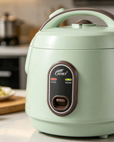 Cuisinière à riz électrique au design vert clair, fonction maintien au chaud, faible consommation, idéale pour les petites cuisines, appartements et dortoirs
