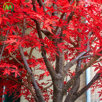 Arbre d'érable artificiel personnalisé en fibre de verre, grand arbre d'érable d'automne durable et naturel, plante simulée longue durée
