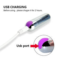 Großhandel Mini-Bullet-Vibrator 10 Geschwindigkeiten Wasserdicht Körpersicher Einstellbar Leiser Betrieb USB-Aufladung Einfach zu Reinigen Tragbares Sextoy