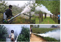 Machine de désinfection portable, pulvérisateur à brouillard thermique, fabriqué dans le Shandong