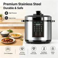 Cuisinière à pression électrique en acier inoxydable 6L, contrôle numérique, multifonction, cuiseur à riz, cuiseur lent avec fonction de départ différé, OEM