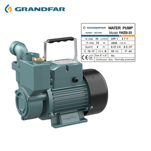 Pompe auto-amorçante domestique automatique à eau propre en fonte Grandfar 370W 550W 750W, hauteur de refoulement 50m, série 1WZB, haute pression - Product Image 2