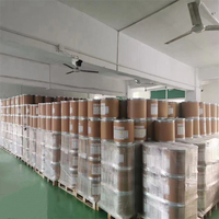 Moulage de poudre de PTFE DUPONT MP1000 poudre de polytétrafluoroéthylène F4 pour mastic de corps et élément d'étanchéité