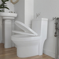 Ensemble WC et Lavabo Combiné Céramique Chic Luxe Économique avec Vasque sur Toilettes