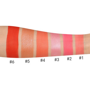 Rubor en Polvo con Brillo Mate Premium, 6 Opciones de Colores, Acabado Natural, Logotipo y Empaque de Marca Privada - Product Image 3