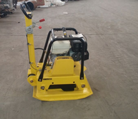 Moteur Loncin à poussée manuelle Compacteur à plaques vibrantes à essence/diesel Compacteur à plaques réversible à vendre