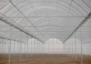 Europese Commerciële Aardbeikas 8X30M Hydroponisch Systeem Auto Klimaatregeling Hoge Opbrengst Ontwerp Polycarbonaat Kas - Product Image 5