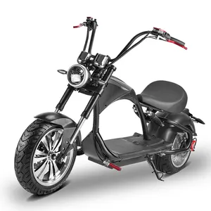 รถจักรยานยนต์สกูตเตอร์ช็อปเปอร์ไฟฟ้า2000/3000W แบตเตอรี่ Citycoco 60V 20ah ใบรับรอง EEC สกูตเตอร์รถจักรยานยนต์