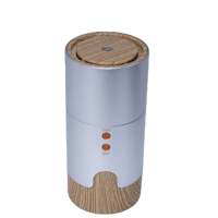 Purificateur d'air intelligent AromaNano, humidificateur à brume, diffuseur d'arômes USB pour voiture avec garantie d'un an, capacité de 51 à 100 ml