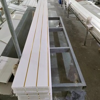 Paneles y Placas de Techo de PVC Blancos Comunes con Dos Ranuras y Líneas Doradas Impresas